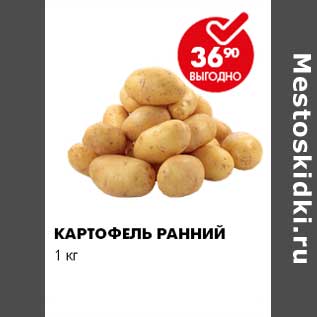 Акция - КАРТОФЕЛЬ РАННИЙ