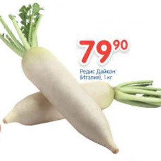 Акция - РЕДИС ДАЙСОН ИТАЛИЯ