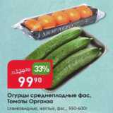 Магазин:Авоська,Скидка:Огурцы среднеплодные/томаты Органза