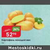 Магазин:Авоська,Скидка:Картофель молодой вес