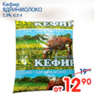 Акция - Кефир Ядринмолоко 2,5%