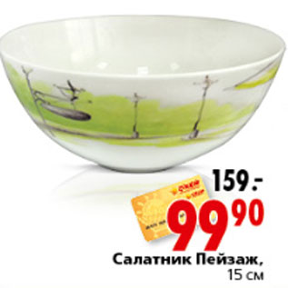 Акция - САЛАТНИК ПЕЙЗАЖ