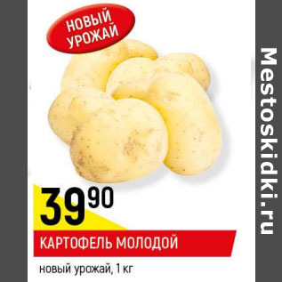 Акция - Картофель Молодой новый урожай