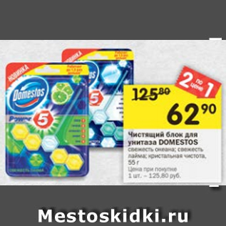 Акция - Чистящий блок для унитаза Domestos