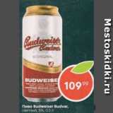 Пятёрочка Акции - Пиво Budweiser Budvar 5%