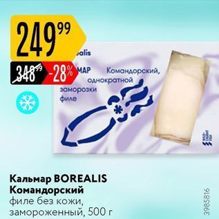 Акция - Кальмар ВORЕALIS