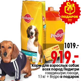 Акция - Корм для взрослых собак всех пород Педигри говядина/рис/овощи, 13 кг + Ведро в подарок