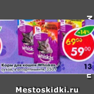 Акция - Корм для кошек Whiskas