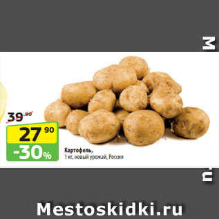 Акция - Картофель, новый урожай, Россия