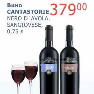 Акция - Вино Cantastorie Nero D