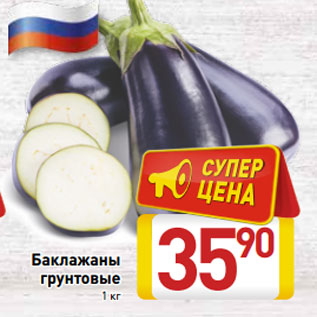 Акция - Баклажаны грунтовые