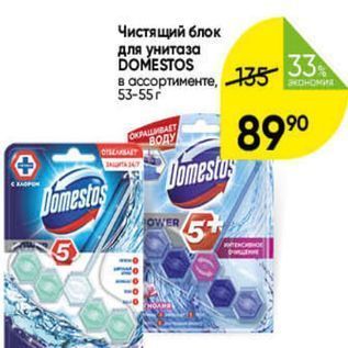 Акция - Чистящий блок для унитаза DOMESTOS