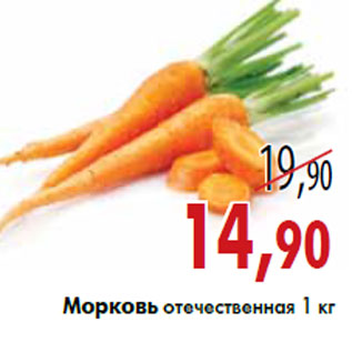 Акция - Морковь отечественная