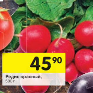 Акция - Редис красный,