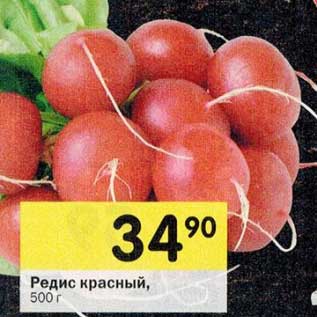 Акция - Редис красный