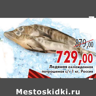 Акция - Ледяная охлажденная потрошеная с/г 1 кг, Россия