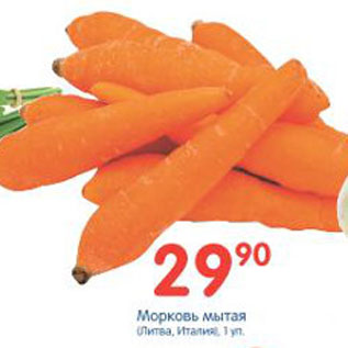 Акция - Морковь Мытая Литва,Италия