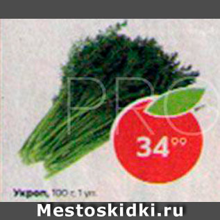 Акция - Укроп