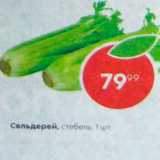 Сельдерй
