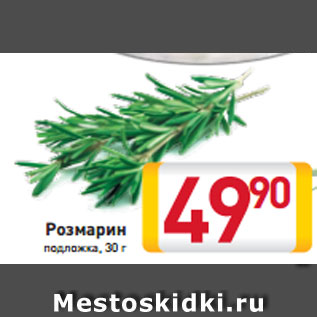 Акция - Розмарин подложка, 30 г
