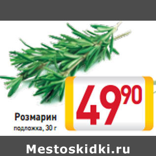 Акция - Розмарин подложка, 30 г