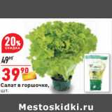 Магазин:Окей,Скидка:Салат в горшочке,