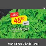 Магазин:Верный,Скидка:САЛАТ ЛИСТОВОЙ в горшочке, 
