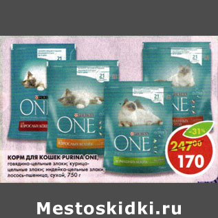 Акция - Корм для кошек Purina One