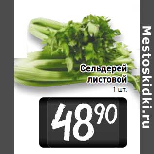 Акция - Сельдерей листовой