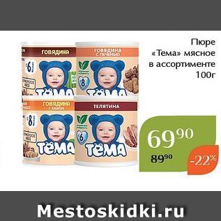 Акция - Пюре «Тема»