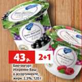 Магазин:Виктория,Скидка:Био-йогурт
Искренне Ваш
в ассортименте,
жирн. 2.5%, 120 г