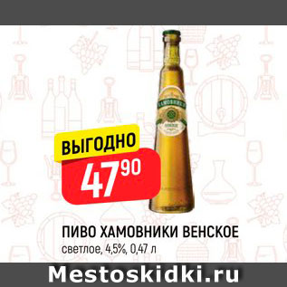 Акция - ПИВО Хамовники Венское