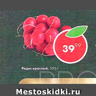 Акция - Редис красный