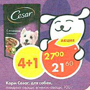 Акция - корм Cesar для собак