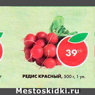 Акция - Редис красный
