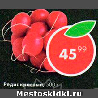 Акция - Редис красный