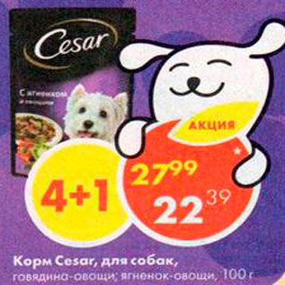 Акция - корм Cesar для собак