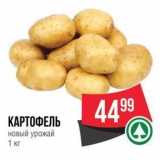 Spar Акции - КАРТОФЕЛЬ новый урожай 1 кг