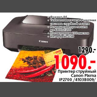 Акция - Принтер струйный Canon Pixma IP2700/4103B009