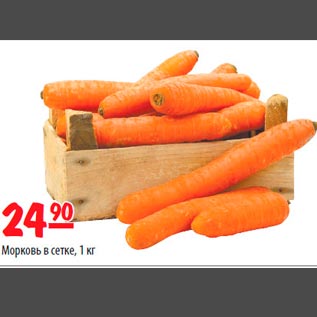 Акция - Морковь в сетке