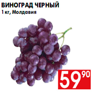 Акция - Виноград черный 1 кг, Молдавия