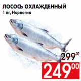 Магазин:Наш гипермаркет,Скидка:Лосось охлажденный
1 кг, Норвегия