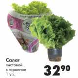 Магазин:Prisma,Скидка:Салат
листовой
в горшочке