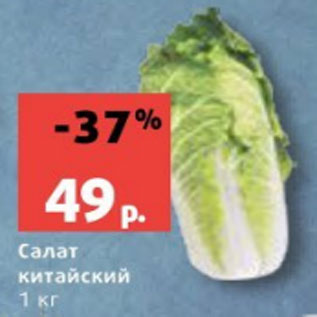 Акция - Салат китайский 1 кг