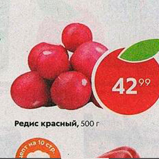 Акция - редис красный
