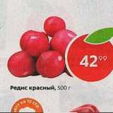 Магазин:Пятёрочка,Скидка:редис красный