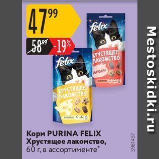 Акция - Корм PURINA FELIX