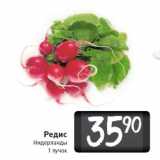 Магазин:Билла,Скидка:Редис
Нидерланды
1 пучок