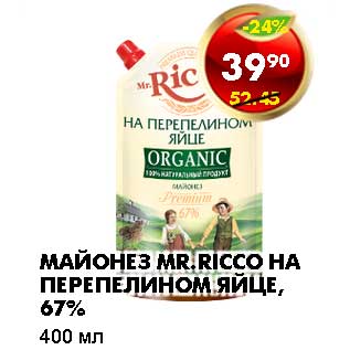 Акция - МАЙОНЕЗ MR. RICCO НА ПЕРЕПЕЛИНОМ ЯЙЦЕ, 67%