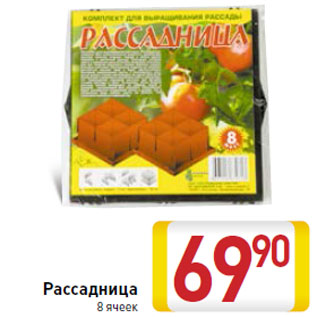 Акция - Рассадница 8 ячеек